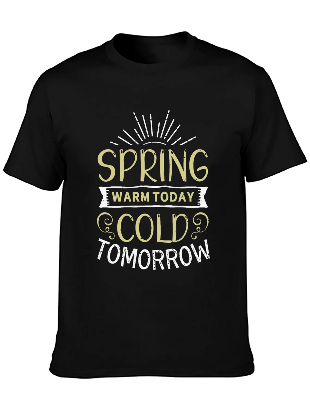 Spring Warm Today Cold Tomorrow T-Shirt product image 3