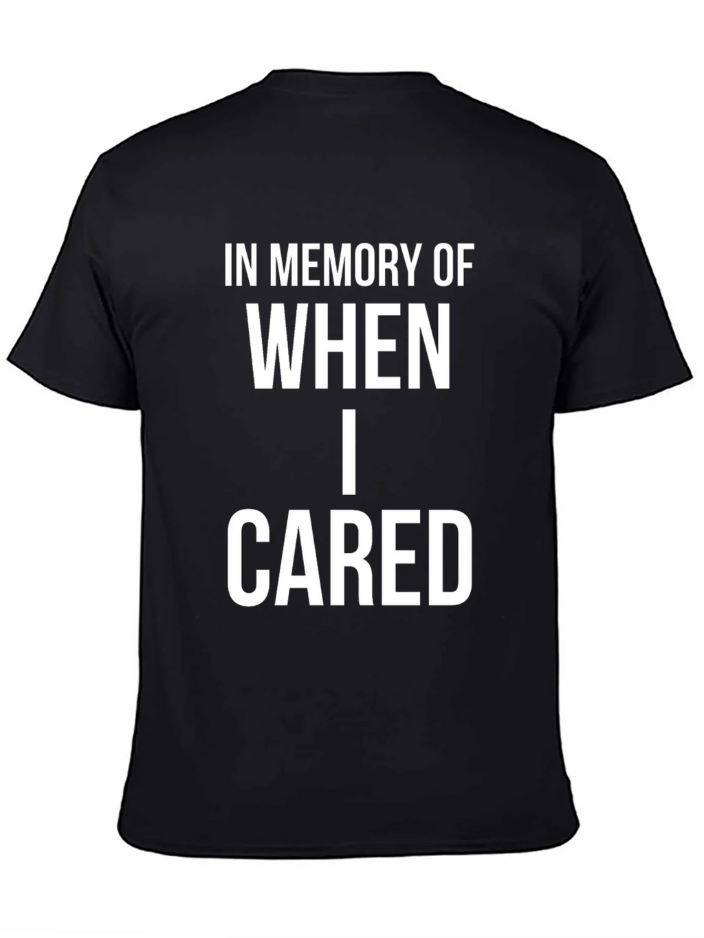 In Memory Of When I Cared Graphic Tee product image 4