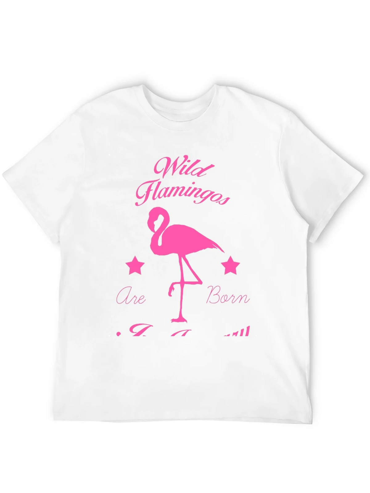 Wild Flamingos T-Shirt product image 3