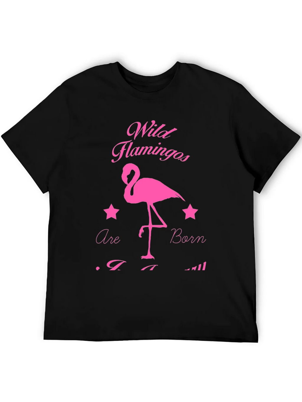 Wild Flamingos T-Shirt product image 8
