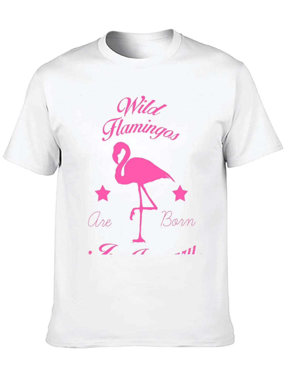 Wild Flamingos T-Shirt product image 12
