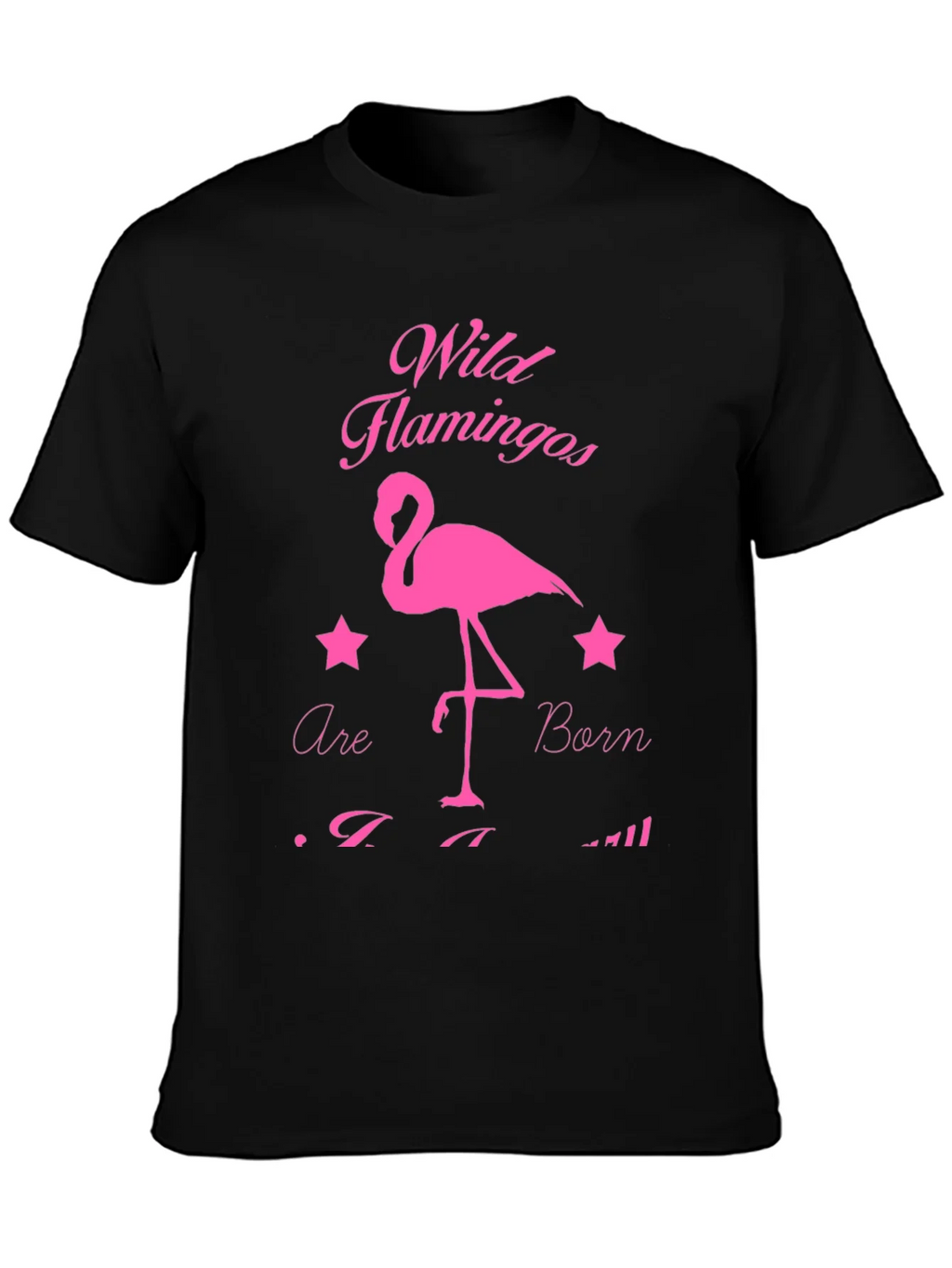 Wild Flamingos T-Shirt product image 6