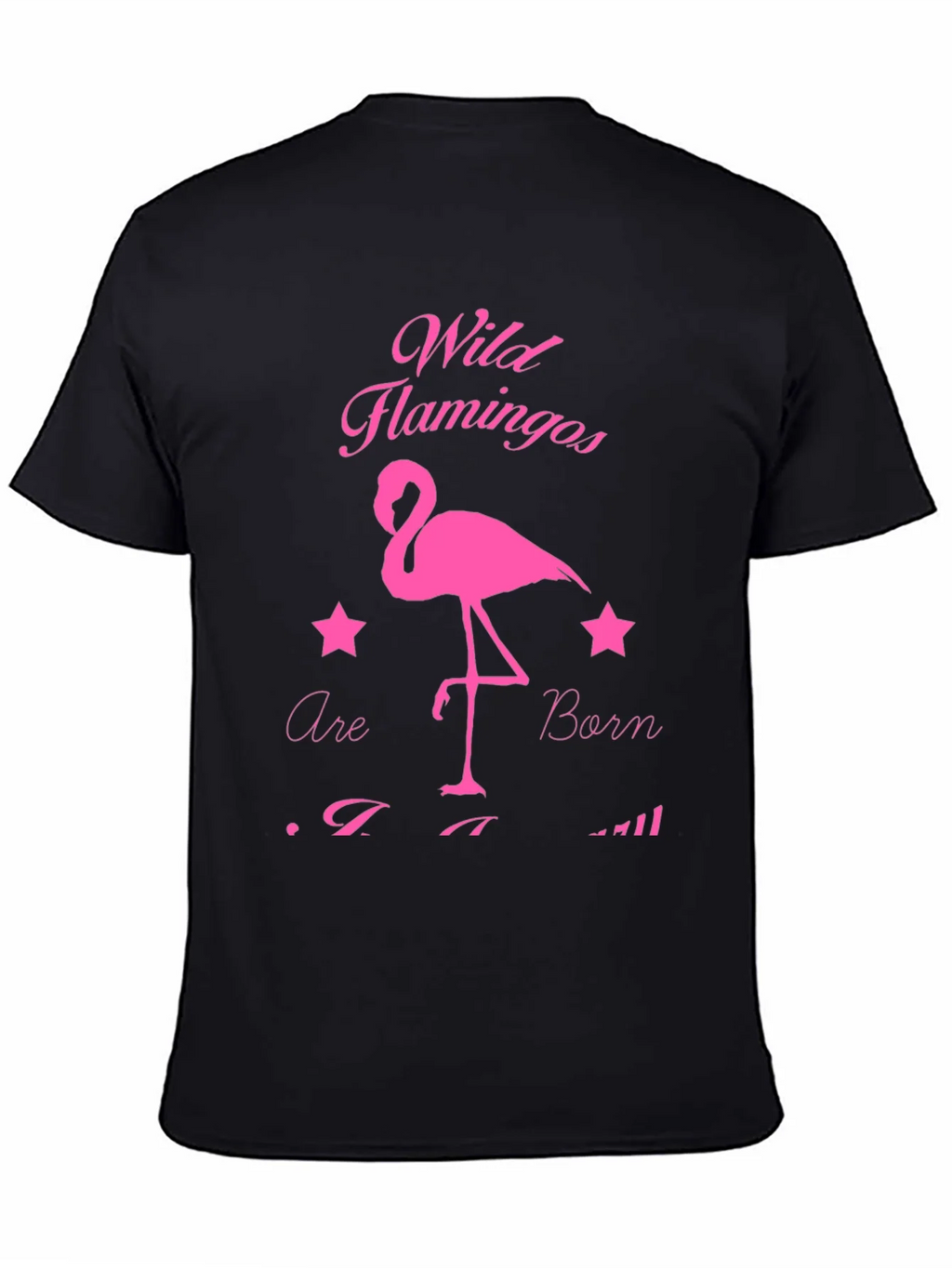 Wild Flamingos T-Shirt product image 7